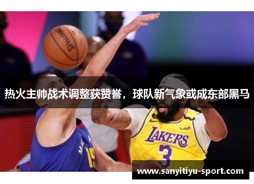 热火主帅战术调整获赞誉，球队新气象或成东部黑马